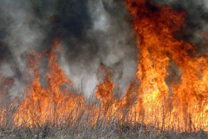 На Одещині підпалили суху траву і вогонь знищив 8 дачних будинків