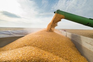 «Чорне» зерно – це зерно, яке трейдери купили у фермерів за готівку й експортували його за кордон
