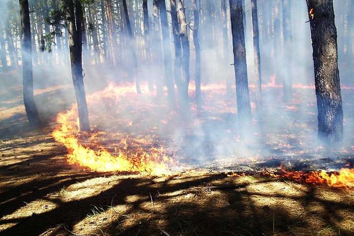 На Херсонщині горить 100 гектарів лісу