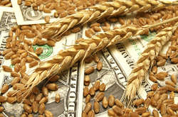 Украина за год экспортировала зерна почти на $6,4 млрд
