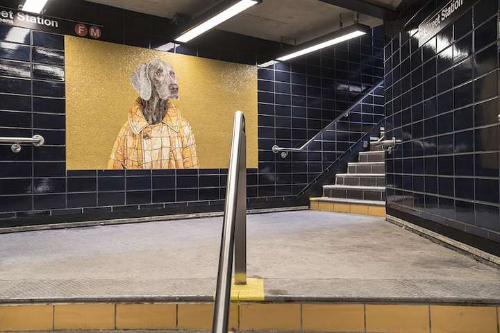 На одной из станций метро Нью-Йорка появились мозаики с собаками (фото)