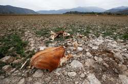 В Чили впервые за 2000 лет высохла Лагуна де Акулео