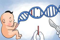 Китайские власти подтвердили существование CRISPR-детей