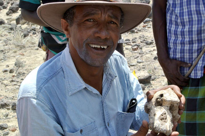 В Эфиопии найден череп, меняющий представление о наших предках