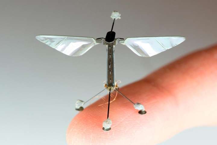 Науковці розробили літаючих роботів-комах (відео)