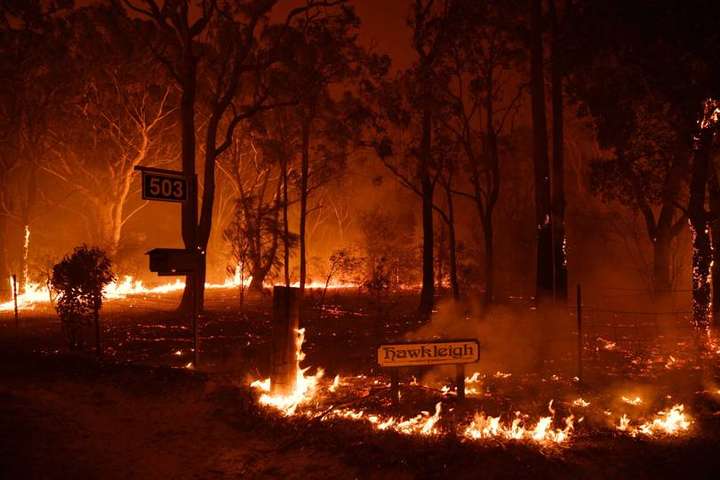 Для восстановления после пожаров Австралии потребуется 100 лет