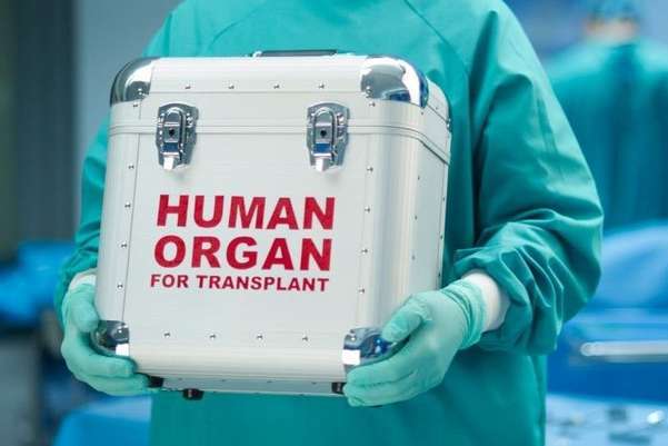 В Україні лікують мертвих і не рятують живих. Нові правила пересадки органів: що тепер зміниться