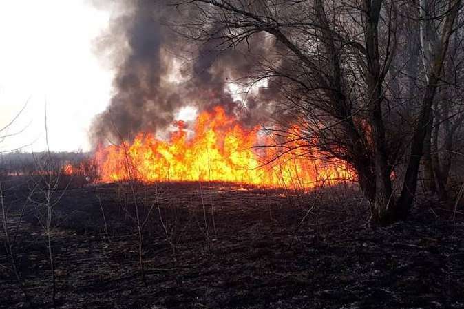 В экосистемах Украины за сутки произошло 511 пожаров