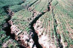 Українські аграрії втрачають третину прибутків через ерозію грунтів