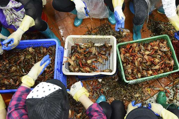 Как Китай воевал с коронавирусом на Уханьском рынке морепродуктов