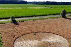 В Угорщині на фермерському полі з'явилося загадкове коло (відео)