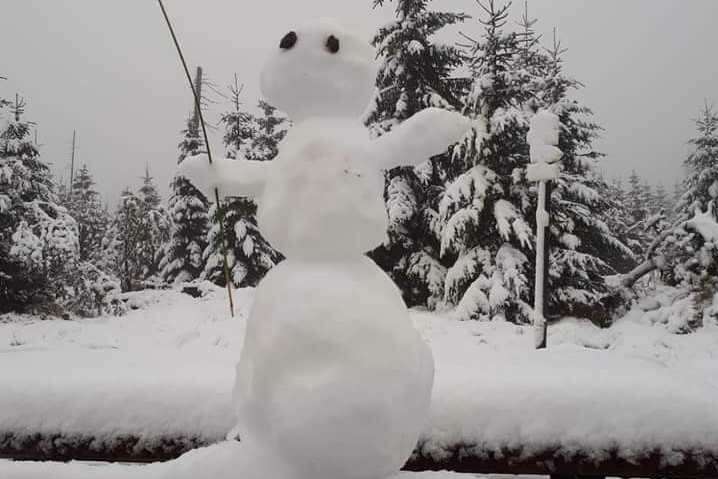 В Україні є місце, де вже ліплять сніговиків (фото)