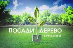 Всеукраинская акция «Посади дерево»: как присоединиться к инициативе