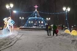 Новорічна романтика: фонтан у Маріїнському парку засяяв вогнями (фото)
