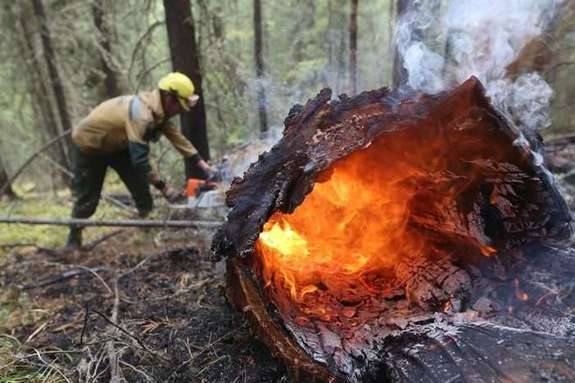 В Украине объявлена пожарная опасность: спасатели назвали самые опасные регионы