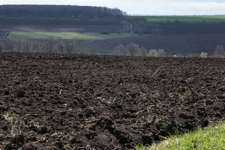 Законные два гектара земли получат не все: кому из украинцев повезет