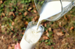 Что продается в украинских магазинах? Госстат снова фиксирует резкое сокращение производства молока