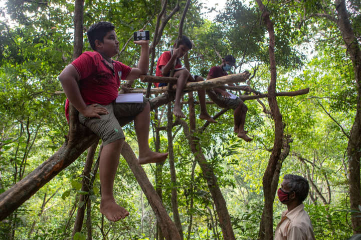 Важка наука. На Шрі-Ланці діти ловлять інтернет для онлайн-занять на деревах (фото)