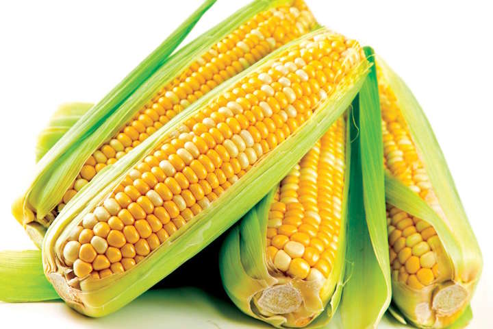 Фахівець розповів, скільки ГМО в українській кукурудзі з ринку й супермаркету