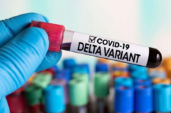 На Львовщине обнаружили заболевших штаммом коронавируса «Дельта»