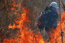 Влада Росії не може впоратися з пожежами: палає майже мільйон гектарів лісів