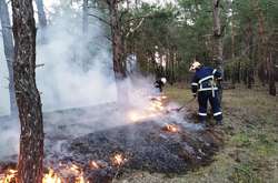 Оголошено пожежну небезпеку: що заборонено робити у лісі в найближчі дні 