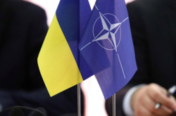 В Вооруженных силах Украины уже ввели 303 стандарта НАТО 