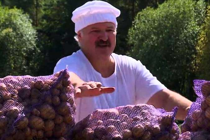 Білорусь втратила лідерство із виробництва картоплі та імпортує її з України