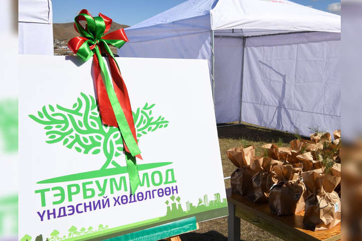 Беруть приклад з України? У Монголії з’явилася власна програма «Мільярд дерев»