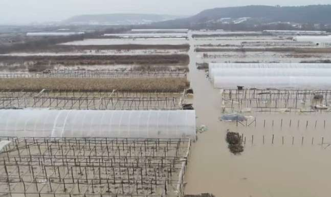 Наводнение на Закарпатье: под водой оказались сотни гектаров угодий