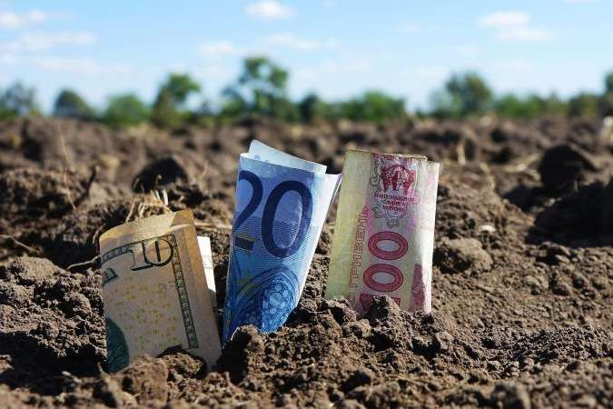 Цены на сельскохозяйственные земли на аукционах выросли на 430% 