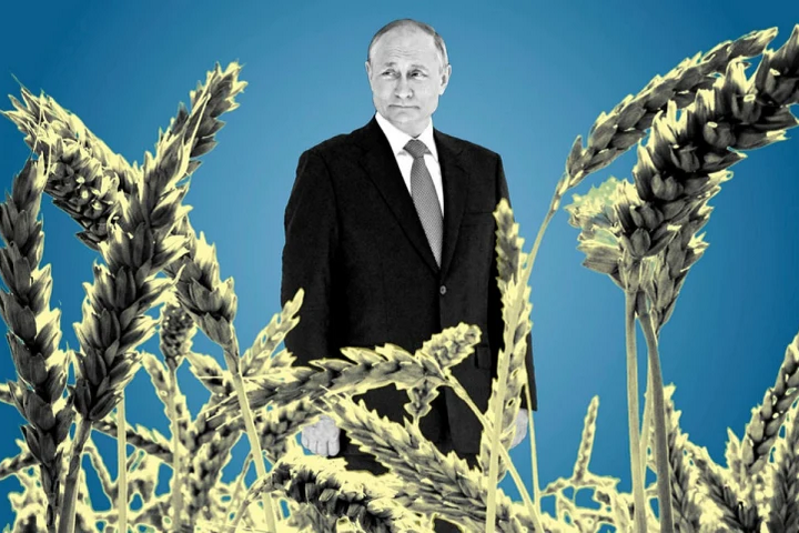 Дефіцит зерна, олії та… крабів. Що накоїв Путін на ринку продовольства?