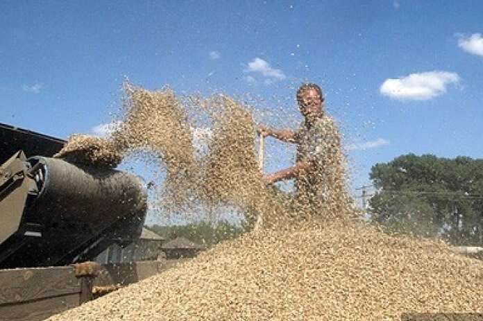 РФ офіційно заявила: крастиме зерно з України, щоб годувати росіян (документ)