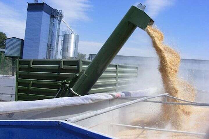 Окупанти вивезли з України&nbsp;27 тисяч тонн зерна