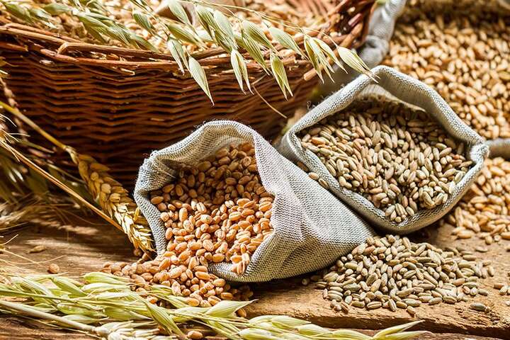 Голод і не лише. Чого очікувати світу від проблем з експортом українського зерна