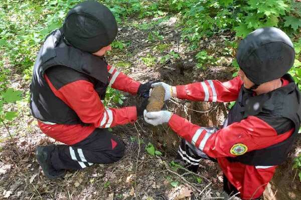 У ботанічному саду Києва піротехніки виявили чотири снаряди