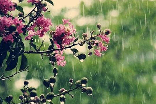 29 травня буде дощовим майже у всіх регіонах