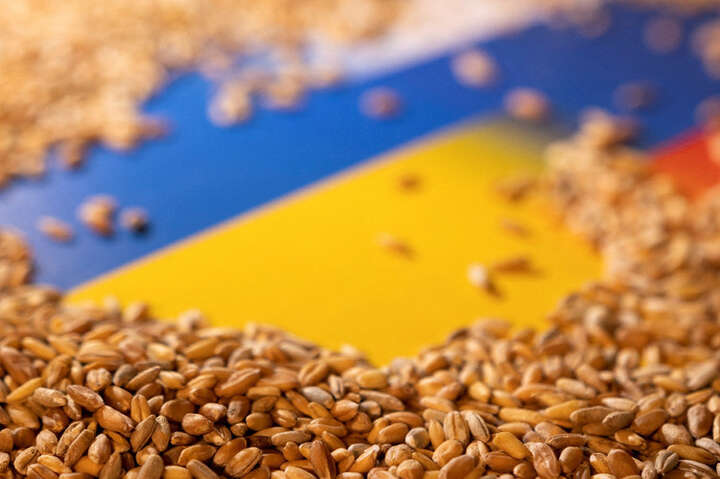 Туреччина купує українське зерно, вкрадене Росією – посол в Анкарі