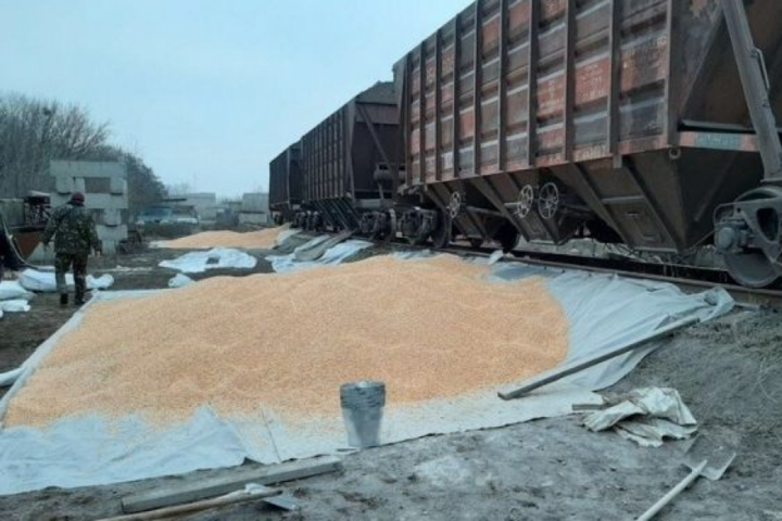 Стало відомо, чи буде Україна експортувати зерно через Білорусь