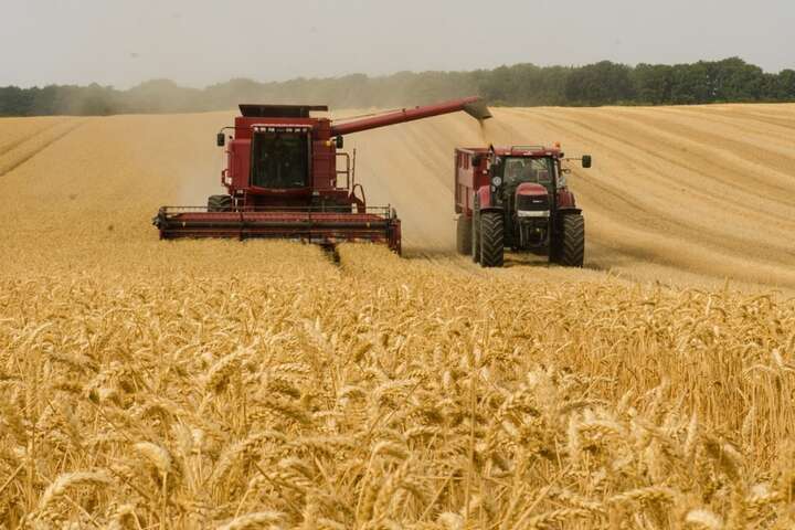 Запорізький гауляйтер похвалився, як Росія краде українське зерно