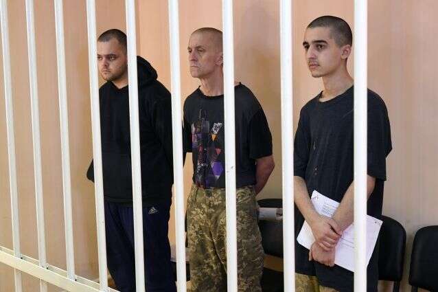 Верещук рассказала о дальнейшей судьбе приговоренных к казни иностранных бойцов