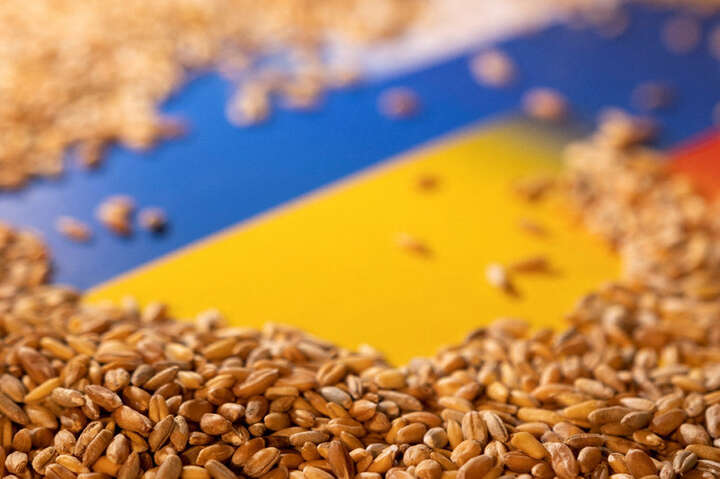 Блокада українського зерна. Анонсовано важливу зустріч у Стамбулі 
