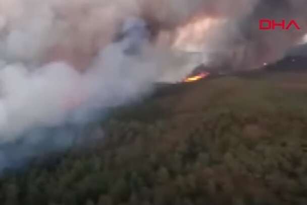 У Туреччині спалахнула масштабна лісова пожежа (відео)