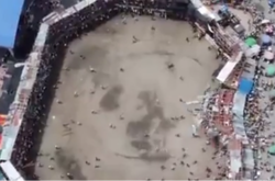 У Колумбії під час кориди обвалилася трибуна: сотні постраждалих (відео)