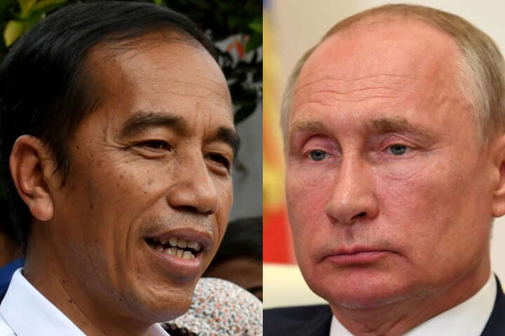Індонезія виключає особисту присутність Путіна на саміті G20