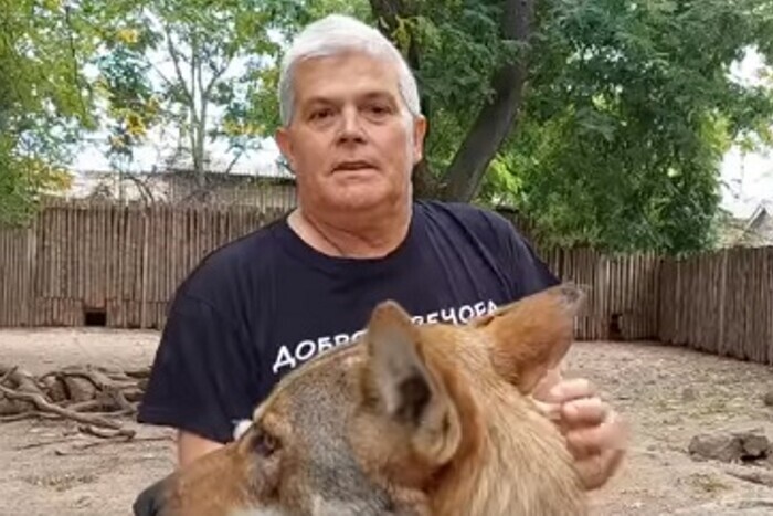 Директора Одесского зоопарка облизывали волки (видео)