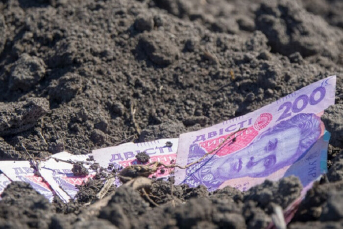 В Украине, несмотря на войну, растет цена на землю: сколько сейчас стоит гектар