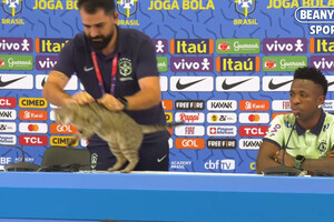 На Чемпіонаті світу в Катарі розгорівся скандал через кота та збірну Бразилії (відео)