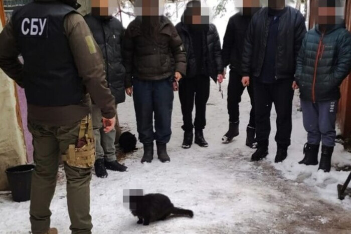 Обыски в Московской церкви: фото с котом развеселило соцсети