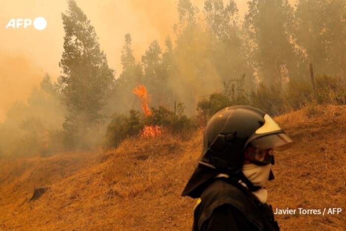 Чилі у вогні: лісові пожежі забрали життя десятків людей (фото)